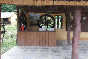 Island Jungle Resort - Image 3