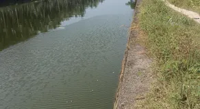Paarpidam - Image 2