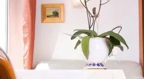 Kurhotel Kaiser - Image 3