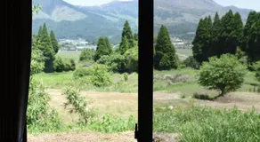 Wakka - Image 5