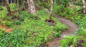 Friendz Homestay Sakleshpur - Image 3