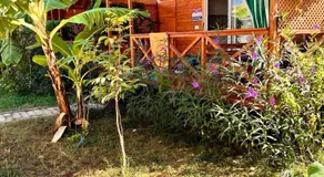Adrasan Parlak apart - Image 4