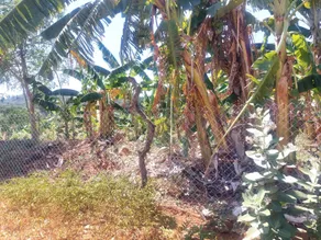 GO2 Village Homestay - Image 5