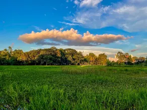 Mali-Boonma Farmstay - Image 4