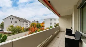 Swiss Suites Oberrohrdorf - Image 5