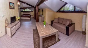 Hotel Izvora 2 - Image 4