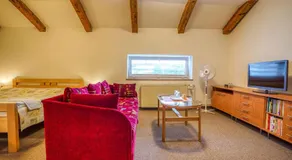 Hotel Dynamic - Image 2