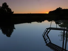 Villa in Ommen with Private Pond - Image 4