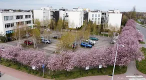 Apartament Bażantowo typu studio z parkingiem - Image 5