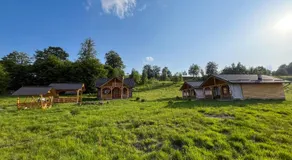 Căsuțele din Poiană - Image 5