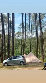 Lembah Pinus Cikole - Image 4