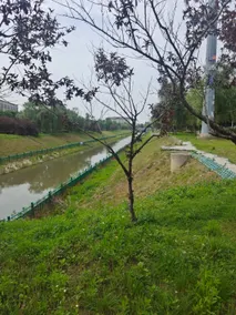 Yaju Hotel (Wuhan Lisi Industrial Park Branch) - Image 5