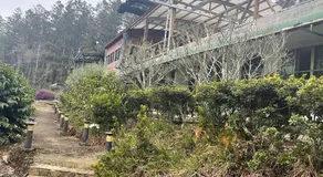 Tanapavana閒雲居 - Image 2