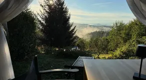Guest House Lagotto's Peak - Image 3
