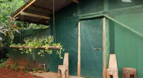 Isla Violin Eco-Lodge - Image 2