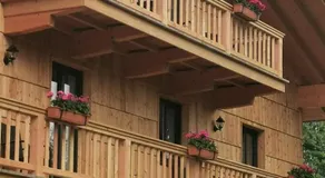 Green Hills Appaloosa Ranch - Image 3