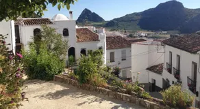 Puerta Verde - Image 4