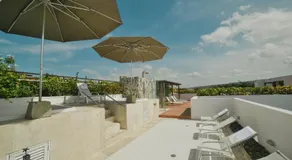 Virrey Eslava 120 Luxury Guesthouse - Image 5