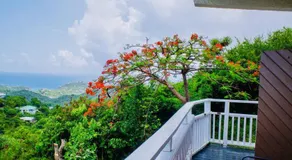 St John USVI Hillside Villa 7 Min Drive to Cruz Bay - Image 5