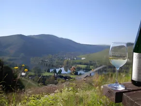 Ferienweingut-Liebfried - Image 3