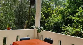 Jardín de los Anturios, Xico - Image 5