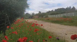 Écoutez les oiseaux Arrivée en toute liberté - Image 4