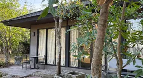 Mountain Wellness Retreat - Image 4
