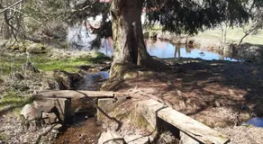 Baurů Dvůr - Image 4