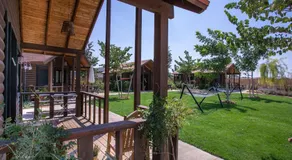 ווילו בערבה - Image 5