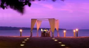 Wild Orchid Resort - Havelock Island - Image 4