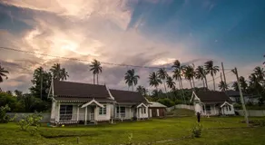 Umbut Bayu - Image 4