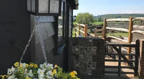 The Cow Hide - Image 5