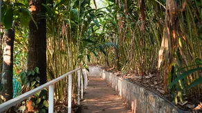 Willmount Cabin Homes, Munnar - Image 4