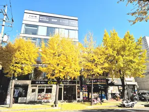 Sweet LUNA#4 Hongdae Stn.4min 1BR+@R & Rooftop - Image 4