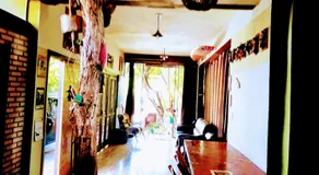 Karaguashouse - Image 5