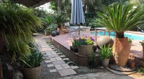 Olive Leaves Guest House - Image 4