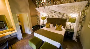 Shearwater's Explorers Village - Image 2