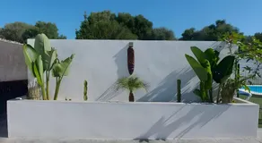 Casa Alex 1 - Image 5