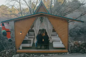 RENEST - Image 5