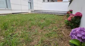 El Rincón de Gabriela - Image 4