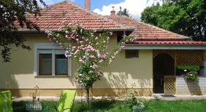 Vida-lak - Image 4