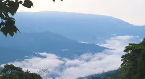 Yumasham Homestay - Image 4