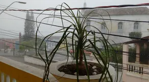 Agro Villa - Image 5