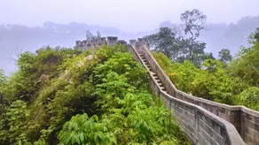 Wafaby Homestay - Image 5