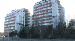 Studio Pluke - Image 5
