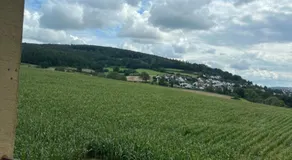 Pensionszimmer mit Gemeinschaftsküche - Image 3