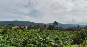 Birdwing - Experiential Farmstay Resort by GoodEarth - Image 4