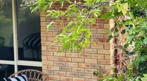 Richmond Cottage - Image 4