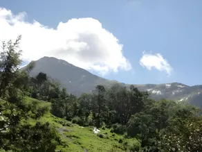 Eagle Mountain Resort Munnar - Image 5