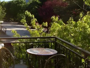 Hotel Pineta - Image 3